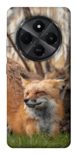 Чехол на Xiaomi Redmi A4 Лиса фото 1 из 1