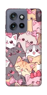 Чохол на Motorola Edge 50 Neo Cute Cat фото 1 з 1
