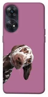 Чохол на Oppo Reno 8T 4G А що тут фото 1 з 1