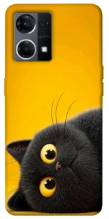 Чохол на Oppo Reno 7 4G This is Cat фото 1 з 1