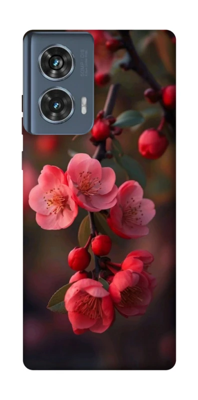 Чохол на Motorola Edge 50 Flowers v28 фото 1 з 1