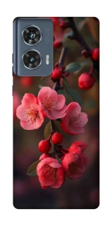 Чохол на Motorola Edge 50 Flowers v28 фото 1 з 1