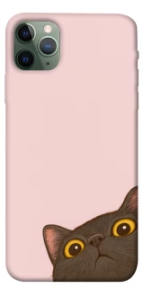 Чохол на Apple iPhone 11 Pro Max (6.5") Peeping cat фото 1 з 1