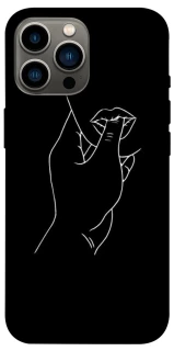 Чохол на Apple iPhone 12 Pro Max (6.7") Passion фото 1 з 1