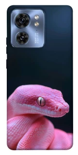 Чохол на Motorola Edge 40 Рожева змія фото 1 з 1