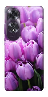 Чехол на Oppo A60 Фиолетовые тюльпаны фото 1 из 1