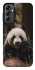 Чехол на Samsung Galaxy A14 4G/5G Панда фото 1 из 1