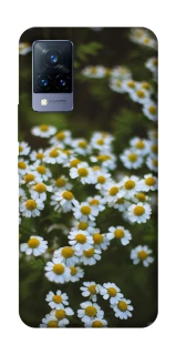 Чехол на Vivo V21 Ромашки v13 фото 1 из 1