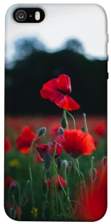 Чехол на Apple iPhone 5/5S/SE Мак фото 1 из 1