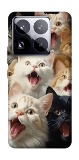 Чохол на Xiaomi 15 Pro Коти фото 1 з 1