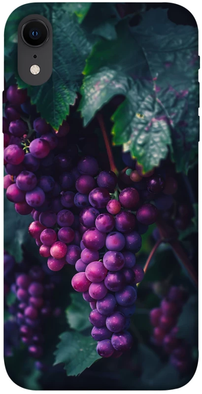 Чохол на Apple iPhone XR (6.1") Grape фото 1 з 1