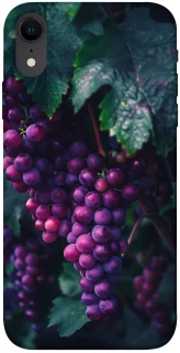 Чохол на Apple iPhone XR (6.1") Grape фото 1 з 1