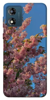 Чохол на Motorola Moto E13 Flowers v4 фото 1 з 1