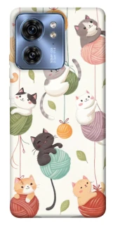 Чехол на Motorola Edge 40 Funny Kittens фото 1 из 1
