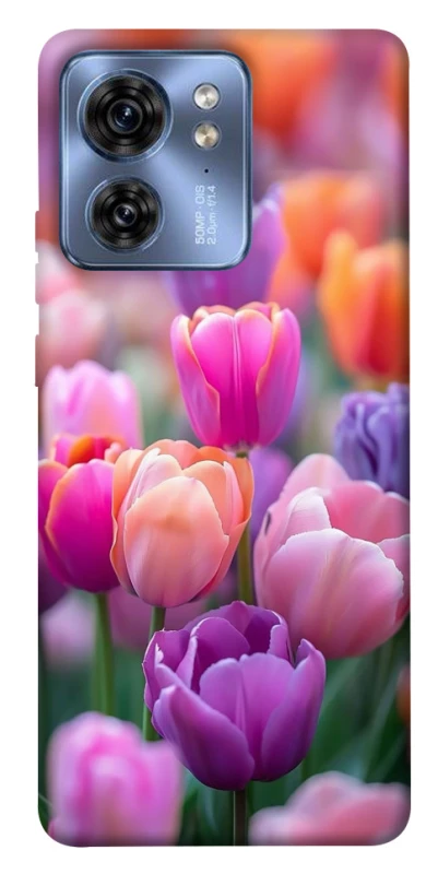 Чехол на Motorola Edge 40 Поле тюльпанов фото 1 из 1