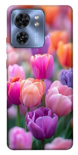 Чехол на Motorola Edge 40 Поле тюльпанов фото 1 из 1