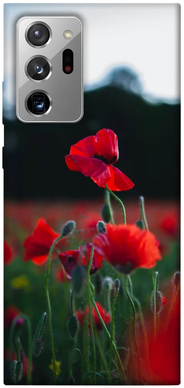 Чехол на Samsung Galaxy Note 20 Ultra Мак фото 1 из 1