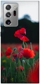 Чохол на Samsung Galaxy Note 20 Ultra Мак фото 1 з 1