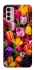 Чохол на Motorola Moto G42 Flowers v30 фото 1 з 1
