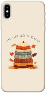 Чехол на Apple iPhone X (5.8") Autumn vibes ver.8 фото 1 из 1