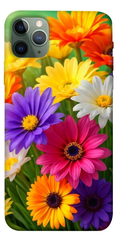 Чехол на Apple iPhone 11 Pro Max (6.5") Flowers v32 фото 1 из 1