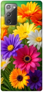 Чохол на Samsung Galaxy Note 20 Flowers v32 фото 1 з 1