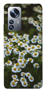 Чехол на Xiaomi 12 / 12X Ромашки v13 фото 1 из 1