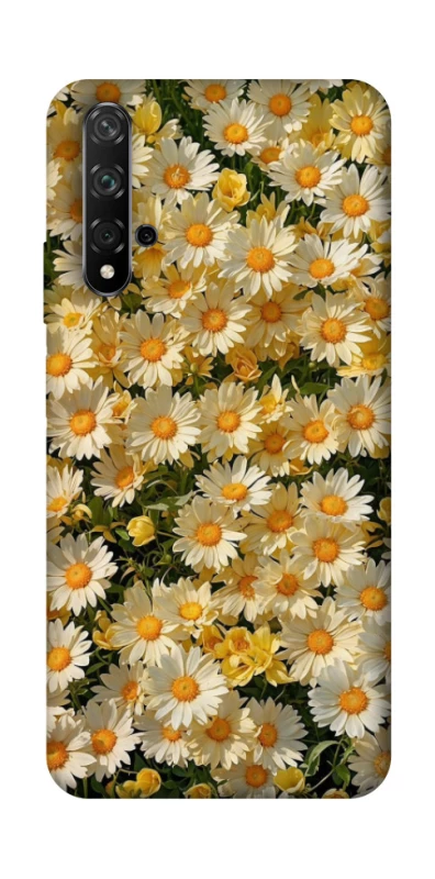 Чохол на Huawei Honor 20 / Nova 5T Camomile фото 1 з 1