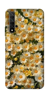 Чохол на Huawei Honor 20 / Nova 5T Camomile фото 1 з 1