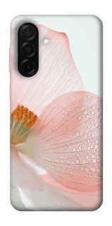 Чохол на Samsung Galaxy A26 5G Flowers zon фото 1 Чохол на Samsung Galaxy A26 5G Flowers zon фото 1 з 1