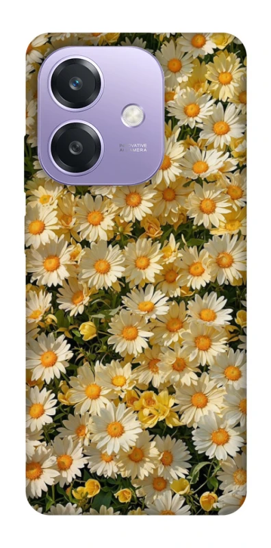 Чохол на Oppo A3X Camomile фото 1 з 1