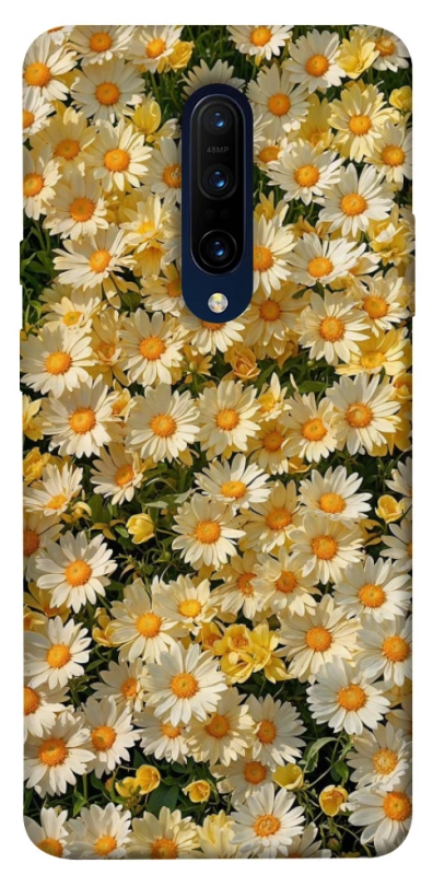 Чохол на OnePlus 7 Pro Camomile фото 1 з 1
