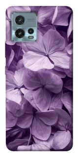 Чохол на Motorola Moto G72 Floral Symphony фото 1 з 1