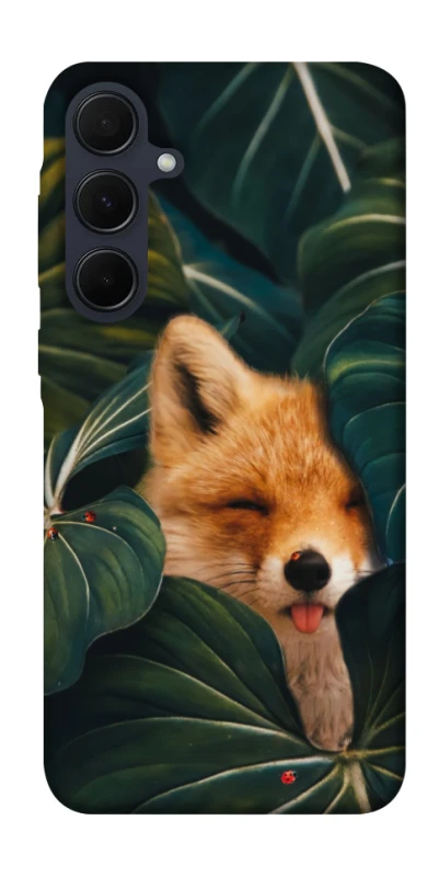 Чехол на Samsung Galaxy A35 Fox фото 1 из 1