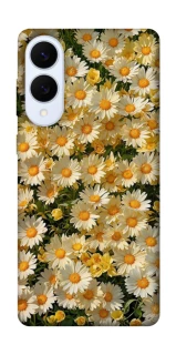 Чохол на Samsung Galaxy S25 Edge Camomile фото 1 з 1