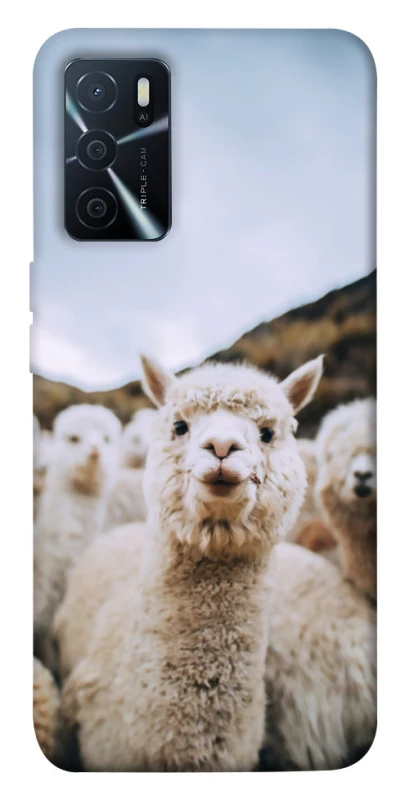 Чехол на Oppo A16s / A16 Лама фото 1 из 1