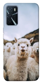 Чехол на Oppo A16s / A16 Лама фото 1 из 1