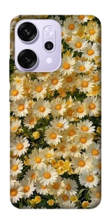 Чохол на Oppo Reno 14 Pro Camomile фото 1 з 1