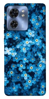 Чехол на Motorola Edge 40 Flowers v6 фото 1 из 1
