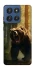 Чохол на Motorola Edge 60 Stylus Bear V3 фото 1 з 1