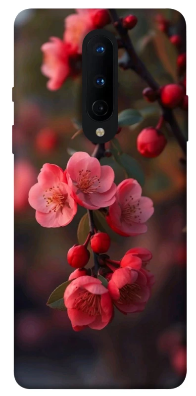 Чохол на OnePlus 8 Flowers v28 фото 1 з 1