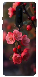 Чохол на OnePlus 8 Flowers v28 фото 1 з 1