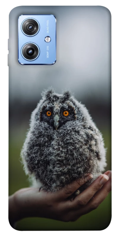 Чохол на Motorola Moto G84 Совеня фото 1 з 1