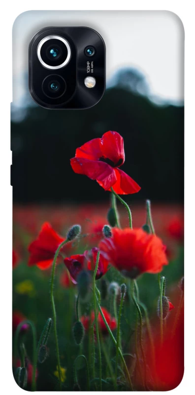 Чехол на Xiaomi Mi 11 Мак фото 1 из 1