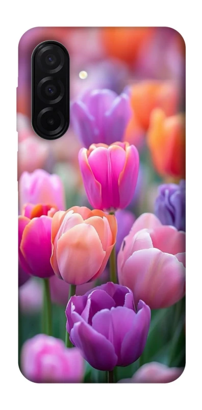 Чохол на Samsung Galaxy A26 5G Тюльпанове поле фото 1 з 1