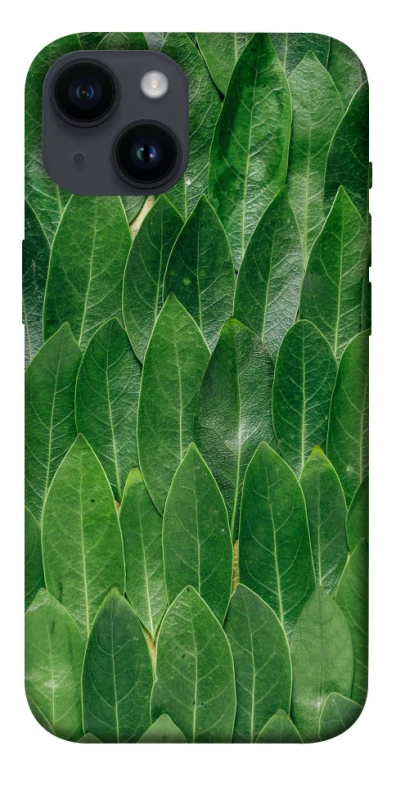 Чохол на Apple iPhone 14 (6.1") Листя фото 1 з 1