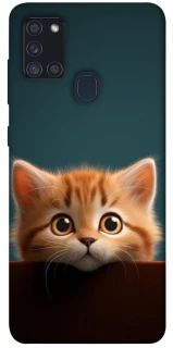 Чохол на Samsung Galaxy A21s Чохол Кошеня фото 1 з 1