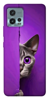 Чохол на Motorola Moto G72 Кіт-підглядач фото 1 з 1