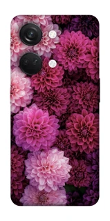 Чохол на OnePlus Nord 3 Garden1 фото 1 з 1