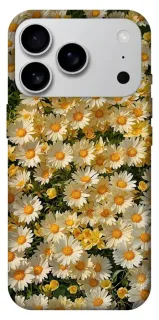 Чехол на Apple iPhone 18 Pro Max Camomile фото 1 из 2